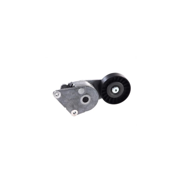 Intinzator curea PEUGEOT 406 8B DAYCO APV1001