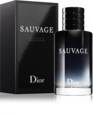 Dior Sauvage, Tester Original, 100 ml (Tester) foto