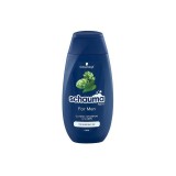 Schauma Men, Șampon pentru ceară, Hamei 400 ml, got2b