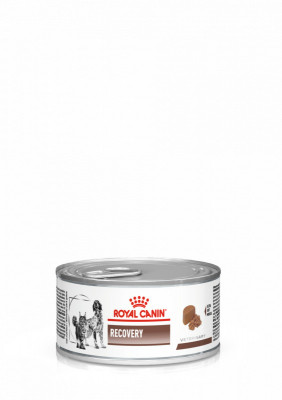 Royal Canin Veterinary Diet Recovery Feline/Canine Can 195 g foto