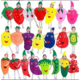 Costum fruct rodie , unisex, 3-8 ani
