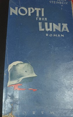 NOPTI FARA LUNA STEINBECK foto