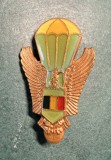 Insigna parasutism militar Romania