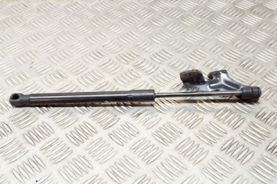 Amortizor capota st&amp;acirc;nga față TESLA MODEL 3 2020 OEM: 1091472-00-B 16035598 foto