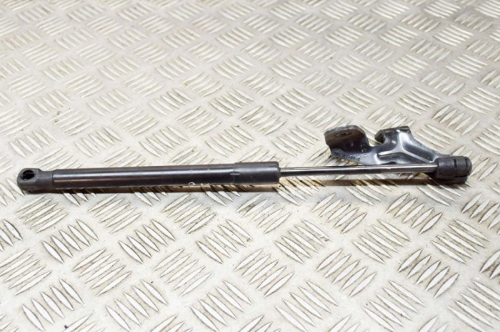 Amortizor capota st&acirc;nga față TESLA MODEL 3 2020 OEM: 1091472-00-B 16035598