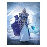 Blizzard Cosplay