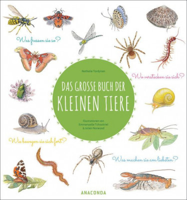 Das gro&amp;szlig;e Buch der kleinen Tiere foto