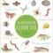 Das gro&szlig;e Buch der kleinen Tiere