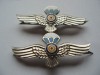 ROMANIA -AVIATIE - SET SEMN ARMA PARASUTISTI /PARASUTIST, MODEL 1977, IM 1.137