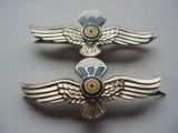 Cumpara ieftin ROMANIA -AVIATIE - SET SEMN ARMA PARASUTISTI /PARASUTIST, MODEL 1977, IM 1.137