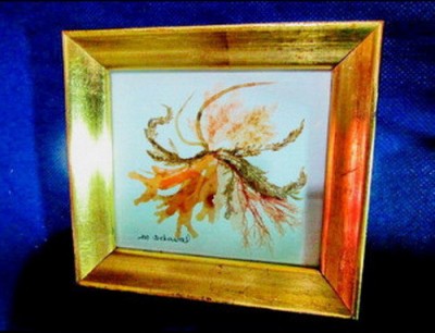 1507- I-Tablou Alge-Creation M &amp;amp; Y. Delaval Henedont Morbihan. foto