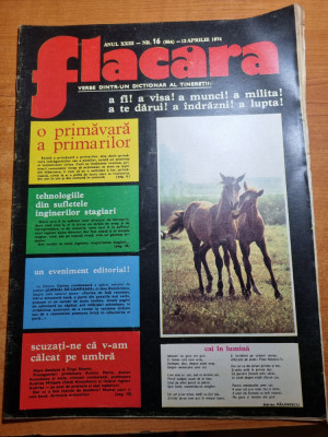 flacara 13 aprilie 1974-articol si foto orasul bucuresti,soferul lui g.enescu foto