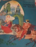 DOMNITA DE ROUA Calin Gruia (ilustratii de Silvia Cambir)