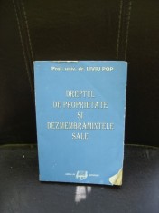 DREPTUL DE PROPRIETATE SI DEZMEMBRAMINTELE SALE - LIVIU POP foto