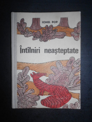 Ionel Pop - Intalniri neasteptate (1970, editie cartonata) foto