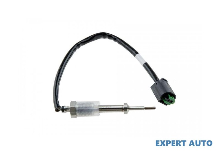 Senzor temperatura gaze dpf BMW X3 (2004-&gt;) [E83] #1