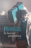 In buricul pamantului (Povestiri) - Catalin Dorian Florescu