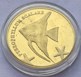 518. Moneda Insulele Maluku 5 rupees 2016 (Pterophyllum Scalare)