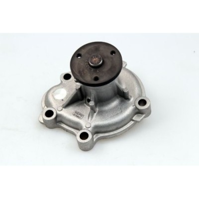 Pompa apa Hepu P372 foto