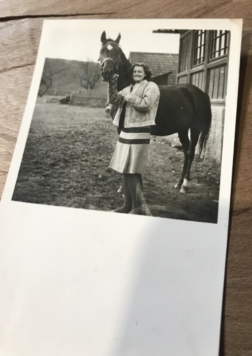 Fotografii Pojorata Suceava