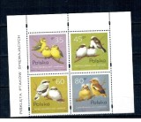 Polonia 1995 - Păsări c&acirc;ntătoare, serie neuzata