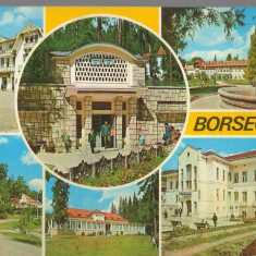 CPI B14984 - CARTE POSTALA - BORSEC, MOZAIC