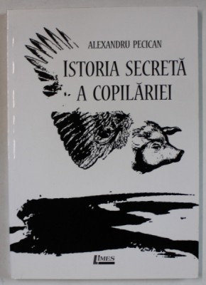 ISTORIA SECRETA A COPILARIEI , POVESTIRI de ALEXANDRU PECICAN , 2010 foto