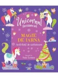 Cumpara ieftin Magie de iarna. Activitati de sarbatoare/***