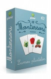Montessori. Vocabular: Lumea plantelor