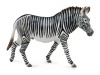 Figurina Zebra Grevy XL Collecta, Plastic, Multicolor, 3+ Ani, Jucarie Realista, Colectie Animale Salbatice