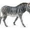 Figurina zebra grevy xl collecta