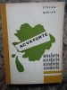 Acvaforte - Stefan Marian
