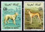 MAROC 1984, Fauna, Caini, serie neuzata, MNH