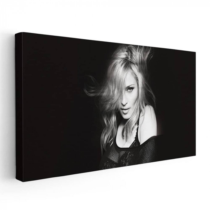 Tablou afis Madonna cantareata 2379 Tablou canvas pe panza CU RAMA 40x80 cm