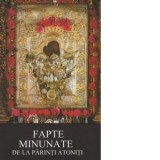 Fapte minunate de la Parinti Atoniti - Arhimandrit Ioanichie Balan