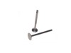 Set supape Piaggio Zip, 4T