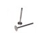 Set supape Piaggio Zip, 4T