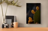 Tablou Canvas, "Fructele aurii ale cactușului nopții", Spini, Cactus, Fruct, Verde, Lumina, Umbră, Textură, Natura, 26 x 39 cm, CMCLASS