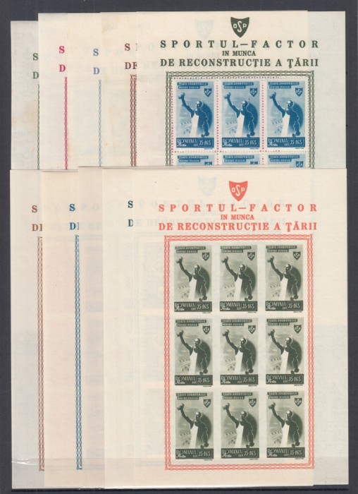ROMANIA 1945 LP 175 a ORGANIZATIA SPORTURILOR POPULARE SERIA IN BLOCURI DE 9 TIMBRE STARE MNH