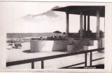 Mamaia. (necirculata)