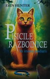 Cumpara ieftin Pisicile razboinice vol.1: In inima padurii - 2013 - Erin Hunter ($R210)