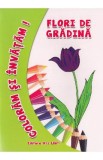 Flori de gradina - Coloram si invatam!