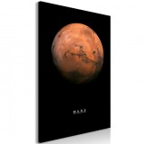 Cumpara ieftin Tablou - Mars (1 Part) Vertical 40x60 cm