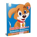 Cumpara ieftin Cainele si prietenii sai, Carte colorat, Gama