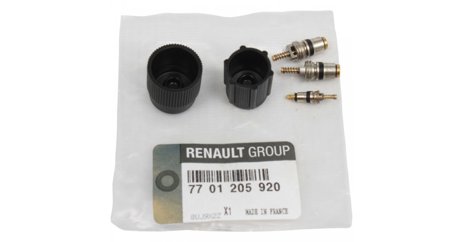 Valva reglaj sistem climatizare Renault Laguna, Scenic, Kit Original ...