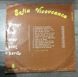 Vinil 4.1 Vinyl Electrecord , Sofia Vicoveanca