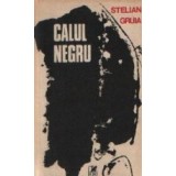 Calul Negru - Roman