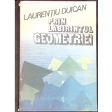 PRIN LABIRINTUL GEOMETRIEI-LAURENTIU DUICAN-282771