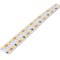 Bandă LED alb cald 24V 19,2W/m IP20