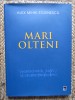 Mari olteni - Alex Mihai Stoenescu